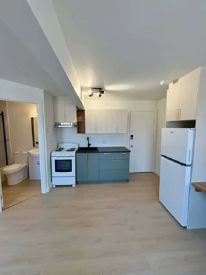 Magnifique studio 1 1/2 Limoilou RÉNOVÉ WIFI