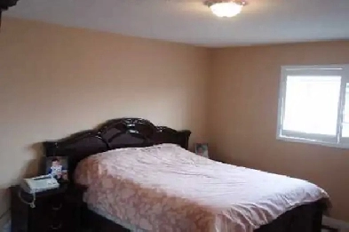 1 BR BSMT for rent in Mississauga-Mclaughlin&Derry area