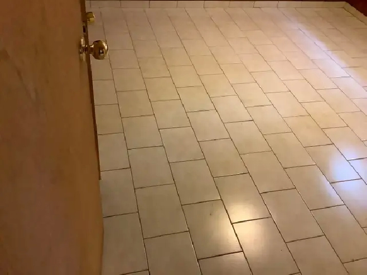 1 Bedroom walkout apartment utilities included Weston Rd/ Finch