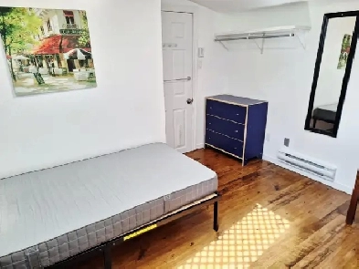 May 1-Sunny Male Rm All Included-Near D/T-4 mths. or longer