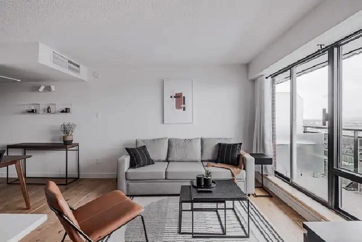 Loft entièrement meublé à louer Saint-Jean-Baptiste juin 2026