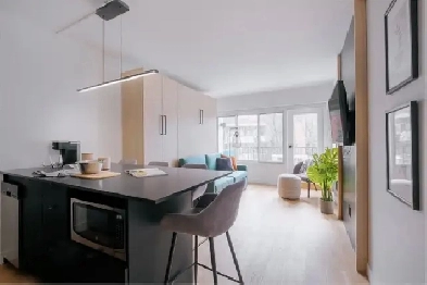 Loft entièrement meublé à louer Saint-Jean-Baptiste juillet 2026