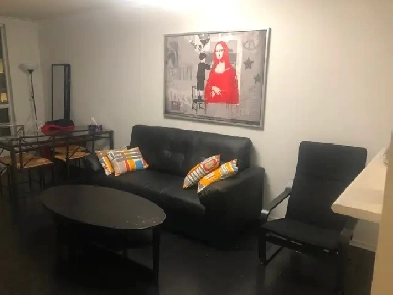Room for Rent - Downtown Toronto