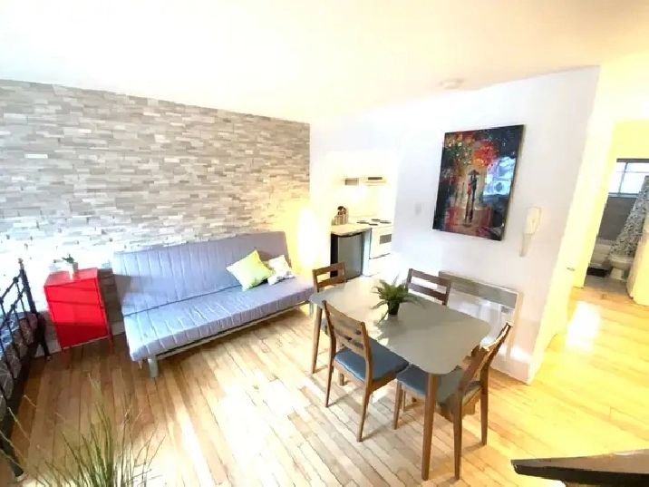 Superbe petit studio ! Rosemont 5 minutes du plateau !