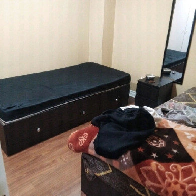 Furnished Room (Girls) available near Sheridan College Brampton
