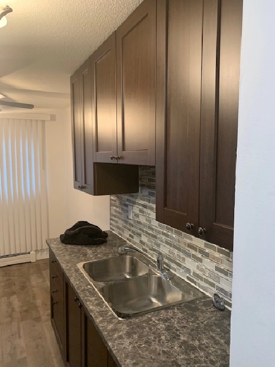 Large 1 BDRM in Old Strathcona! Excellent Location!!