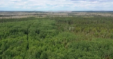 43 Acre Parcel in Timmins Bordering 1000s of Acres of Crown ...