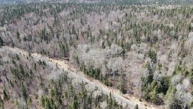 34 Acres of Land in Northern Ontario! Larder Lake 6Hrs from ...