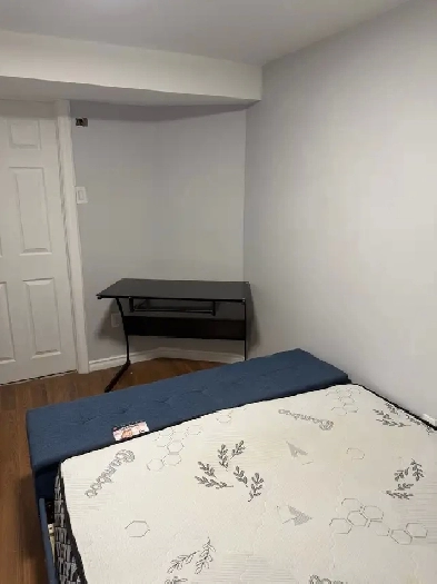 Private room in basement - Downsview area