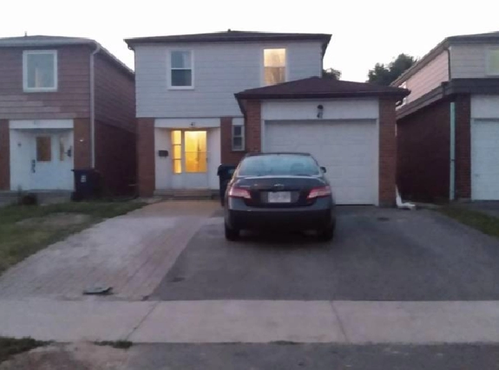 Scarborough House Basement For Rent