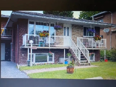 Two bedrooms apartment for rent