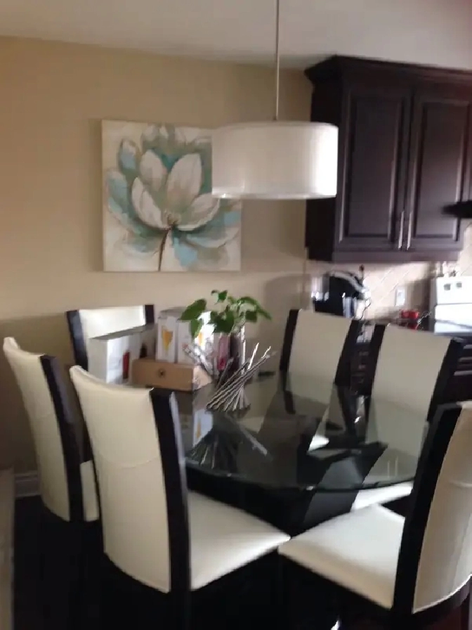 ELEGANT 2 BEDROOM APARTMENT FOR A PROFDESSINAL AUG 1