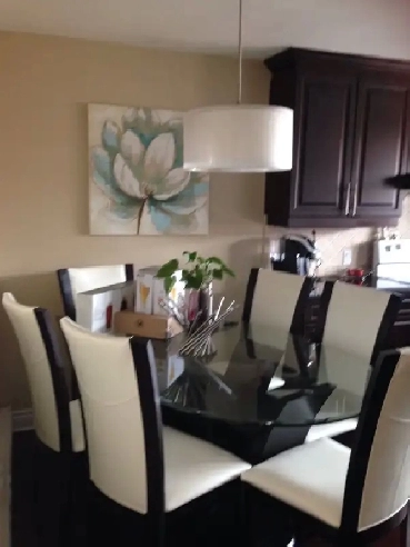 ELEGANT 2 BEDROOM APARTMENT FOR A PROFDESSINAL AUG 1