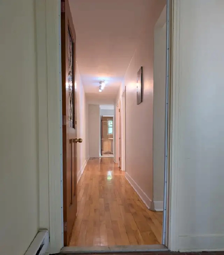 Grand 4 1/2 avec balcon, terrasse, jardin, a Montreal