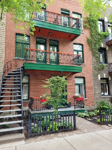 3 ½ - 6 Électros inclus – Plateau Mont-Royal