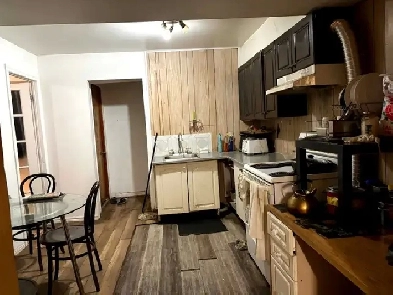 Monk metro room in a 4 1/2 (July 1st)