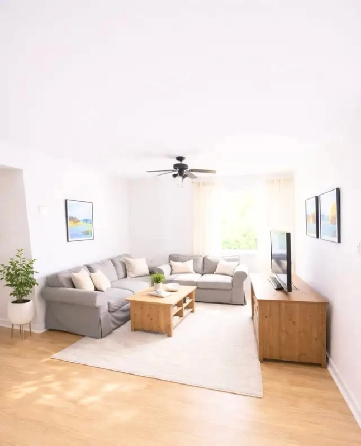 5 1/2 Nord triplex 1er niveau