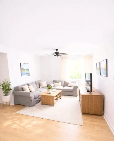 5 1/2 Nord triplex 1er niveau