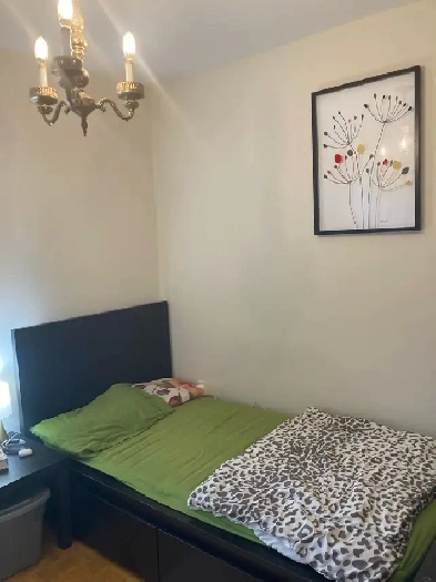 Opportunity: Main floor room for rent