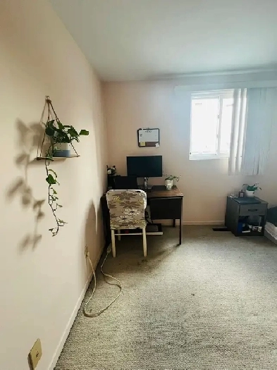 Spacious Room Across Seneca College!