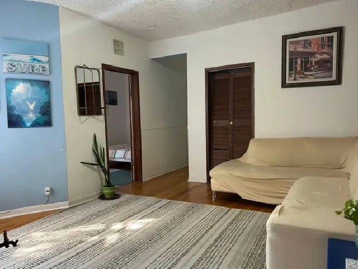 New renovation 6 1/2 Apt for rent in Plateau-Mont-Royal.