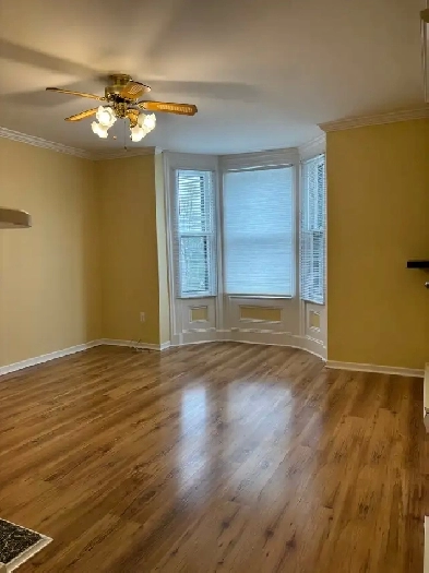 Gorgeous One Bedroom Apartment plus Den on Hayward Avenue Avenue