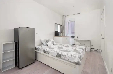 Furnished Studio apartments - Summer Rentals - Downtown