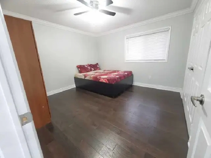 Room for Rent in Brampton