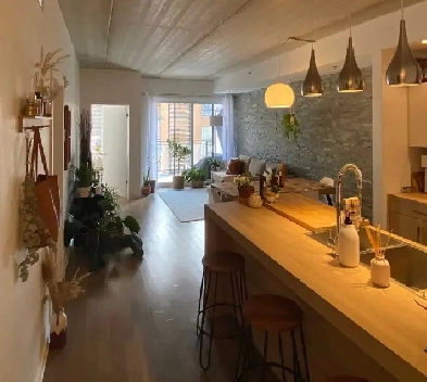 CONDO  4½ SUR LE PLATEAU AVEC STATIONNEMENT INTÉRIEUR PRIVÉ   TE