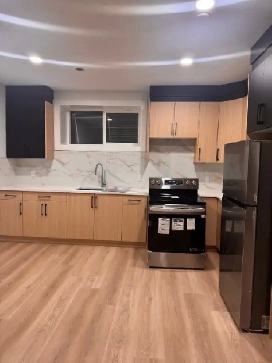 New Basement suite for rent in a new house in Glenridding Ravine