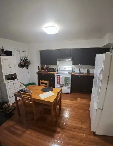 5.5 près du métro Beaubien (dispo mai)