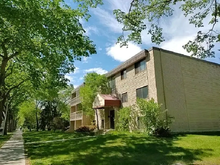 Downtown studio fully furnished cozy home for your move in!