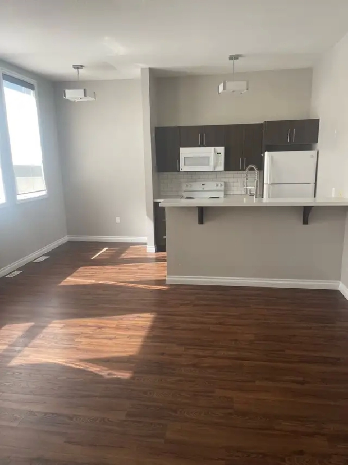 1 bedroom apartment - Drumheller