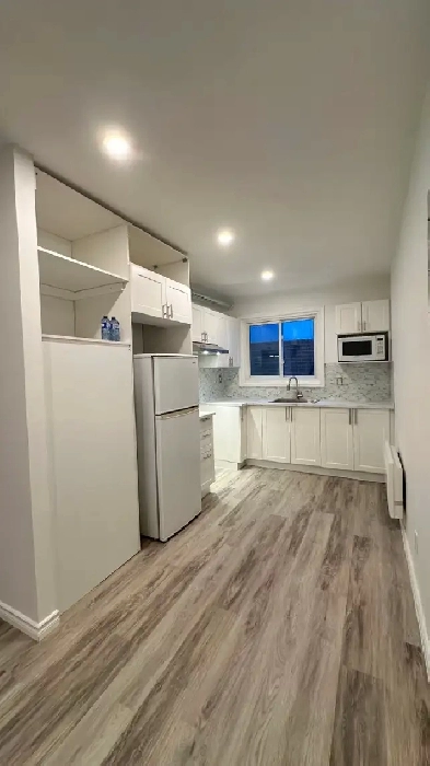 New renovated 4 1/2 apartment southwest (sud-ouest ) for rent