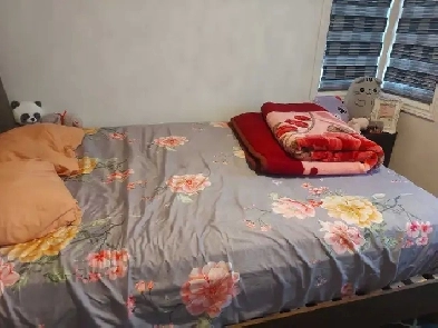 private room rent for 1  girl