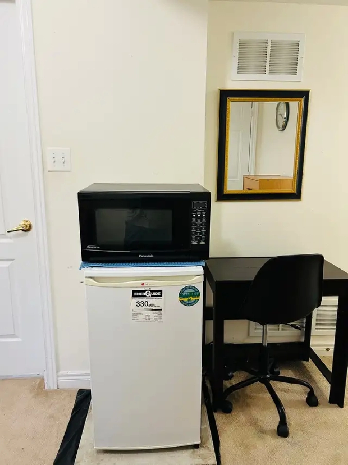 Furnished room with attached washroom and separate entrance