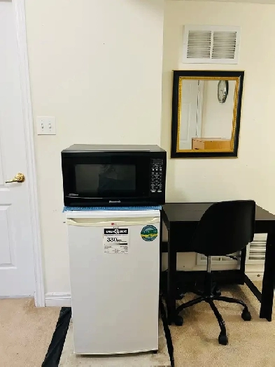 Furnished room with attached washroom and separate entrance