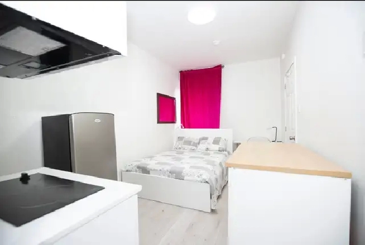 Furnished Stufio Downtown