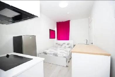 Furnished Stufio Downtown