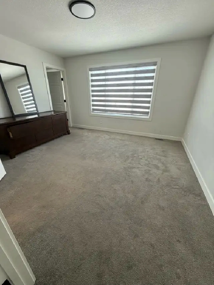 Single rooms for rent