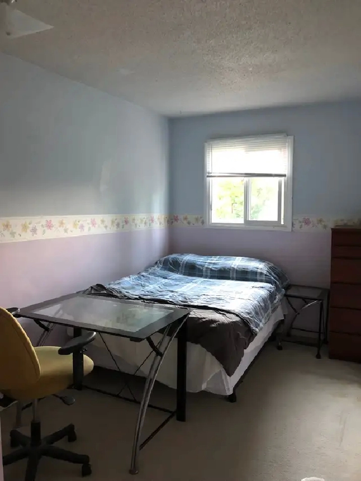 Furnished Room Near U of M Male