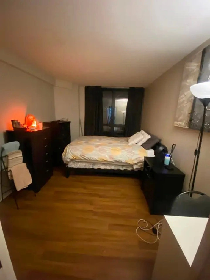 Roommate needed/ large master bedroom