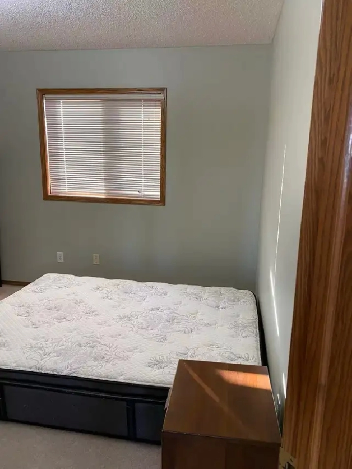 basement room for rent