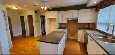 Beau 7 1/2 sur 2 niveaux alouer