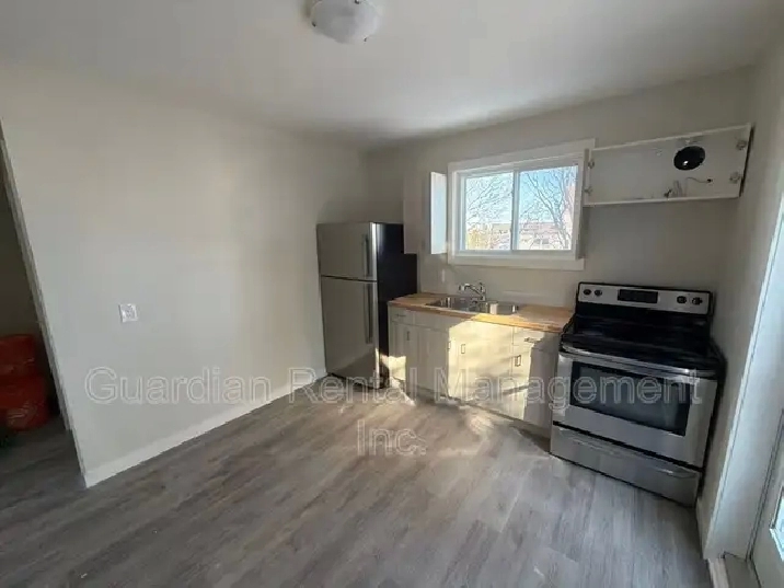 Main Level 1 Bed, 1 Bath Unit - 1 Nugent St. - $1800/month