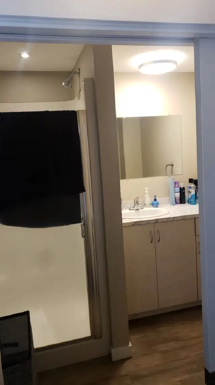 1 Bed, 1 Bath Basement Suite for Rent