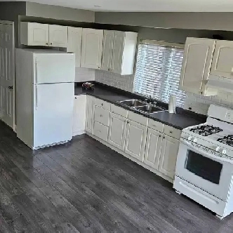 Beautiful One Bedroom Apartment