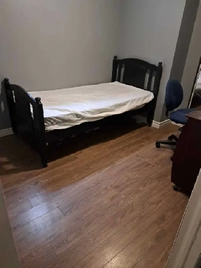 Furnished  Room - McMaster Hamilton  Now