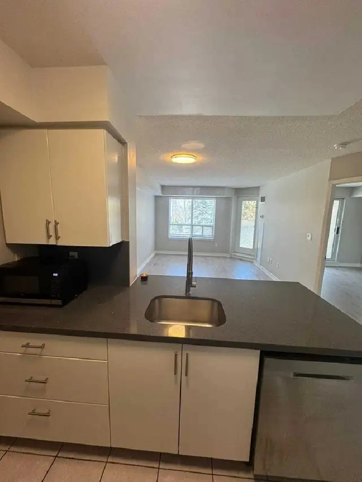 1 Bed   1 Bath Condo for Rent