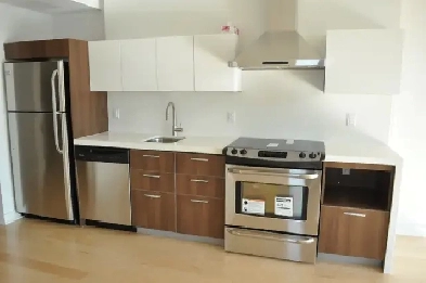 Downtown Luxury Condo for Rent for May 1st OR June 1st!